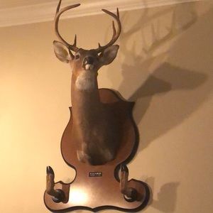 Meet your Posher, Travis